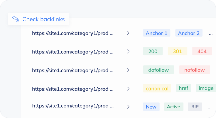 Backlink Finder Tool